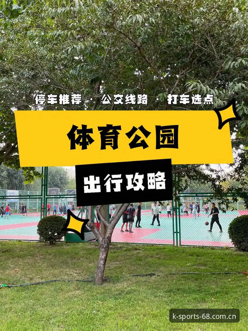 K体育安卓版 K体育安卓版新手必备指南:从注册到观赛的全流程攻略